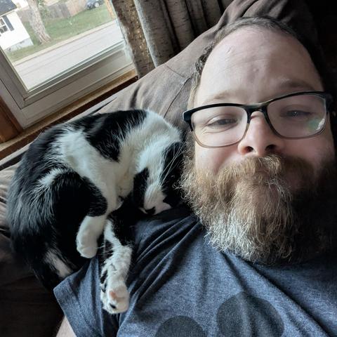 A photograph of a black and white cat laying on the back of a couch and nuzzling up against the neck of a bearded man who's wearing glasses