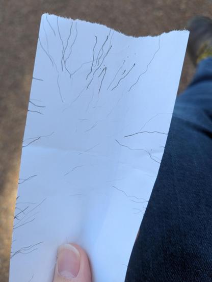 A piece of white paper about 75mm wide and 150mm tall with black zigzag lines on it.