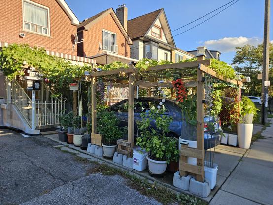 An arbour made of 4x4 posts, cover a car in a driveway. With a car underneath, hanging vines and hanging baskets on it.