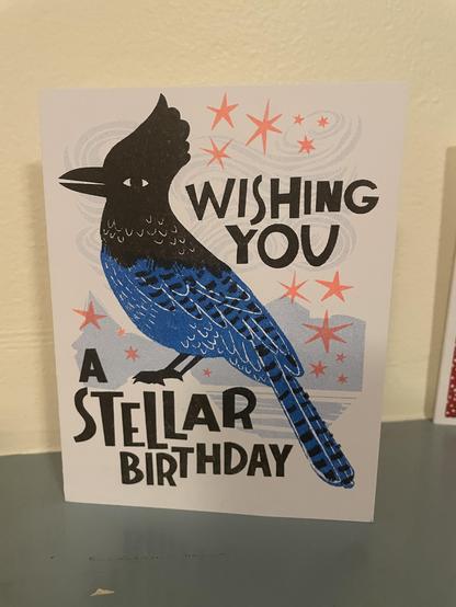 A birthday card: WISHING YOU A STELLAR BIRTHDAY with a picture of a Steller's jay