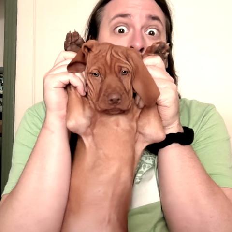 A strange man holds a puppy's arms up in front of the camera