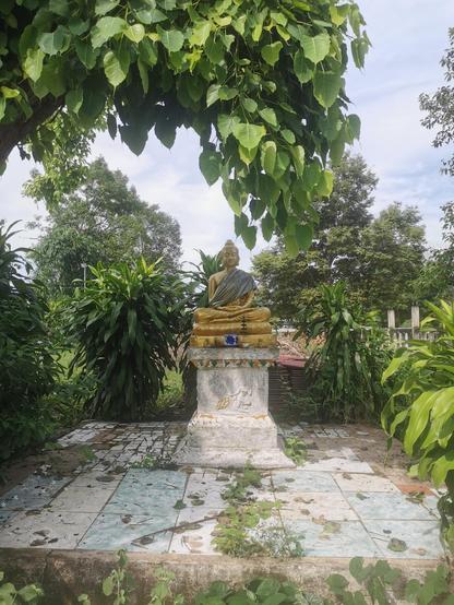 A golden Buddha with a silver green silk robe sits upon a pillar on a tiled platform, green foliage surrounds the sides and back. Buddha is serene.