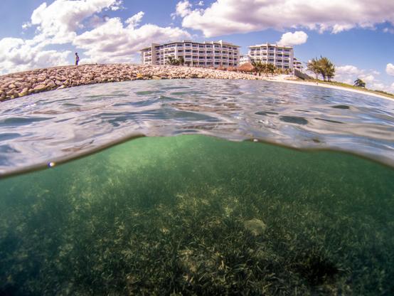 #News: #Report warns 30×30 ocean target will fail if policy-makers ignore #Indigenous communities. Real protection needs #humanrights stewardship at its core #IndigenousRights #SaveOceans #Boycott4Wildlife @palmoildetect https://oceanographicmagazine.com/news/global-ocean-protection-target-will-fail-without-human-rights/?utm_source=mastodon&utm_medium=Palm+Oil+Detectives&utm_campaign=publer