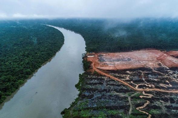 #Humans have wrecked havoc on the natural world by exploiting all other species. What is a mass #extinction event and are we in one now? The sooner we realise we are all connected the better! #BoycottPalmOil 🌴🚫 #Boycott4Wildlife #Vegan @palmoildetect https://palmoildetectives.com/2021/03/24/what-is-a-mass-extinction-and-are-we-in-one-now/?utm_source=mastodon&utm_medium=Palm+Oil+Detectives&utm_campaign=publer