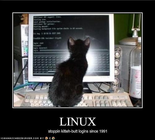 A black kitten sits on a computer keyboard causing gibberish to be entered.  The kitten is staring at the screen as if reading what has been entered.

A title under the image says: LINUX, stoppin' kitteh-butt logins since 1991