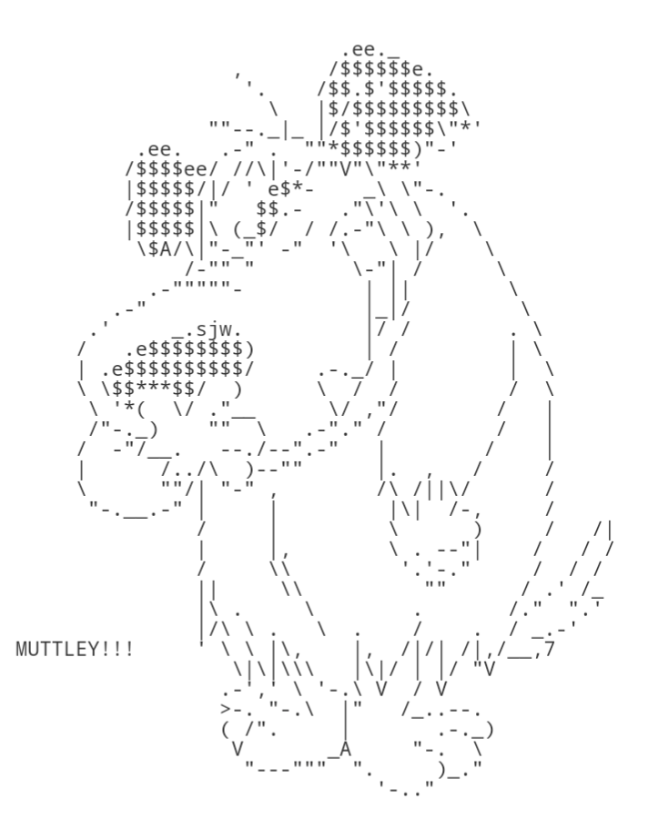 A picture of Hanna-Barbera's Muttley character from Wacky Races, rendered in only ASCII characters