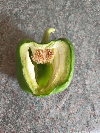 a green pepper cut in half with seeds that look like eyes, and the cavity like a big goofy smile.