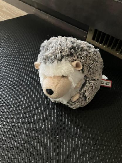 A cute, round little stuffed hedgehog