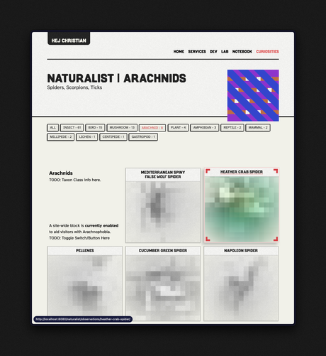Screenshot from my WIP website, showing the Naturalist Arachnids page, with obscured pictures of the spiders on the page by way of pixelation.