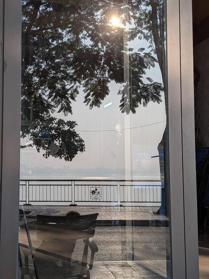 Morning reflection of the sun and the lake with trees, coffee table and chairs in the front taken in the dimmed coffee window. Dog sitting on the chair. 