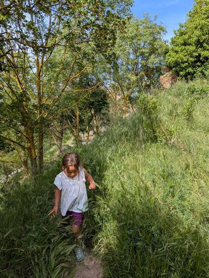 A girl in white top walking through high, intensely green grass, trees in the background