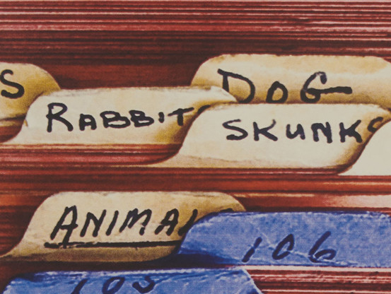 A detail of one of Richard Prince's color photographs of Milton Berle's joke files. You don't see the jokes themselves, only a series of cards with tabbed divider that read: Dog, Rabbits, Skunks, Animal, 106, and some other headers that you can't quite read.