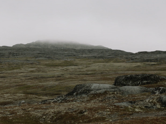 A detail of a still from asinnajaq's film "Three Thousand" that shows a foggy, mossy landscape studded with boulders. No humans appear.