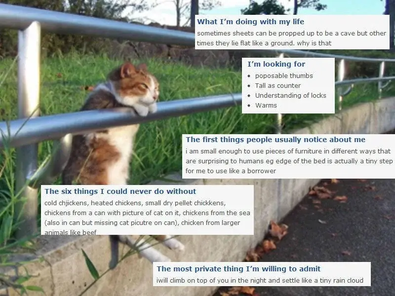 photograph of a cat in a sitting up position with its hands on a railing looking out from a greenish lawn. Text, in individual boxes over the image: 

What I'm doing with my life. sometimes sheets can be propped up to be a cave but other times they lie flat like a ground. why is that

I'm looking for
- poposable thumbs 
- Tall as counter
- Understanding of locks 

The first things people usually notice about me
i am small enough to use pieces of furniture in different ways that
are surprising to humans eg edge of the bed is actually a tiny step for me to use like a borrower

The six things I could never do without 
cold chjickens, heated chickens, small dry pellet chickkens, chickens from a can with picture of cat on it, chickens from the sea (also in can but missing cat picutre on can), chicken from larger animals like beef

"The most private thing I'm willing to admit"
I will climb on top of you in the night and settle like a tiny rain cloud
