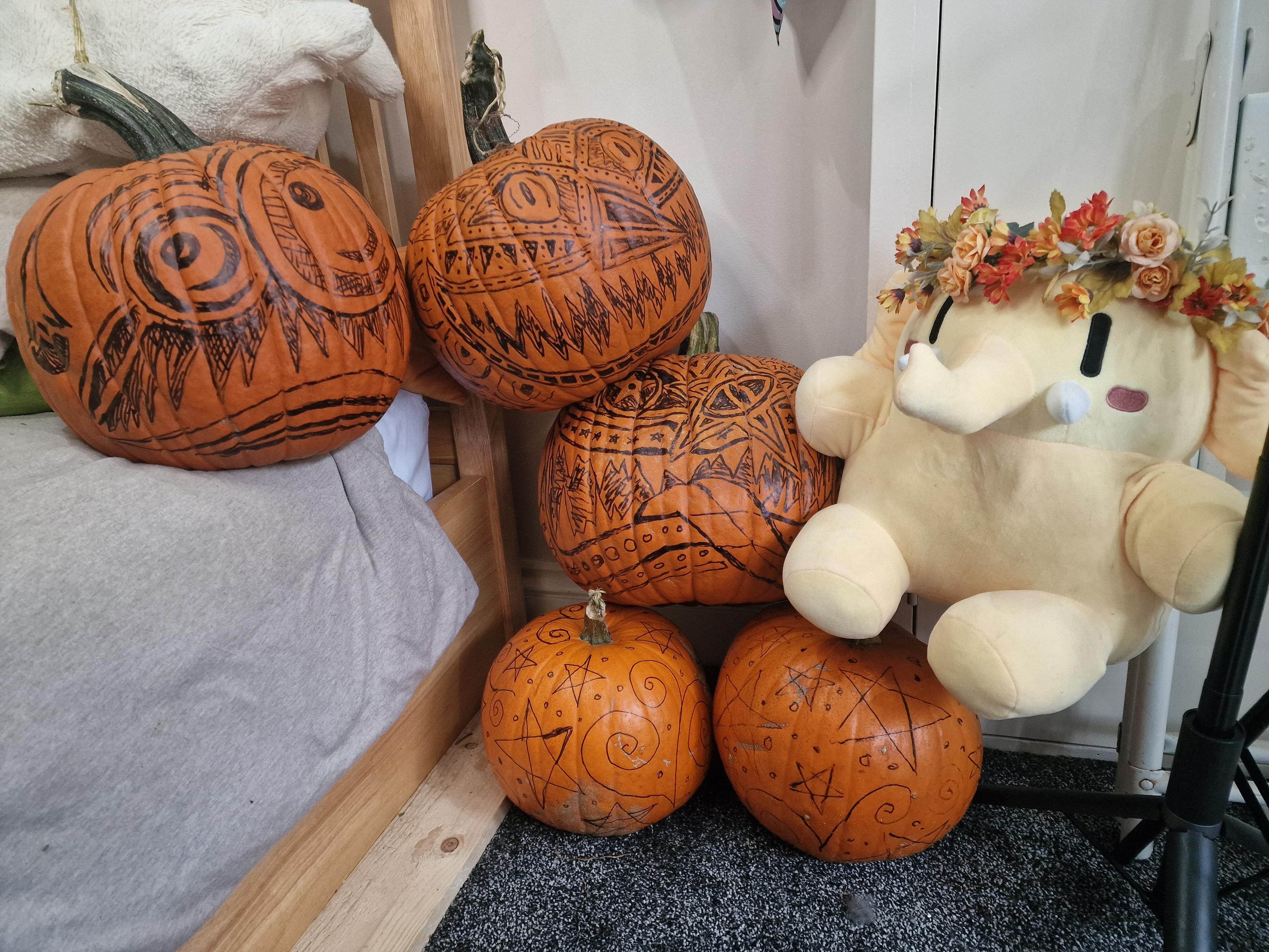 Three fair sized pumpkins with faces drawn on them in sharpie, and 2 small pumpkins with stars and spirals drawn on them. There's also a mastodon mascot plush because why not