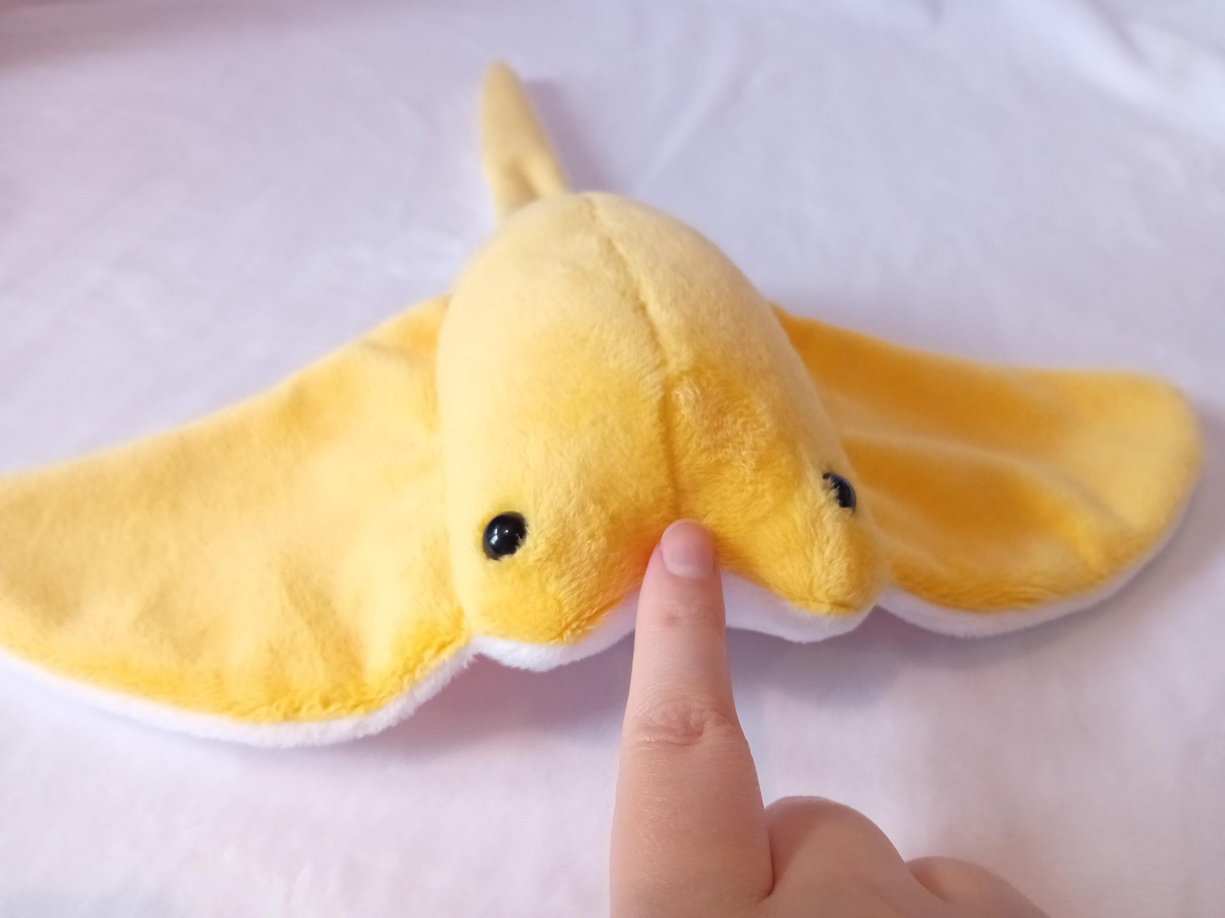 My finger, booping the snoot
