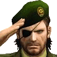 :solidsalute: