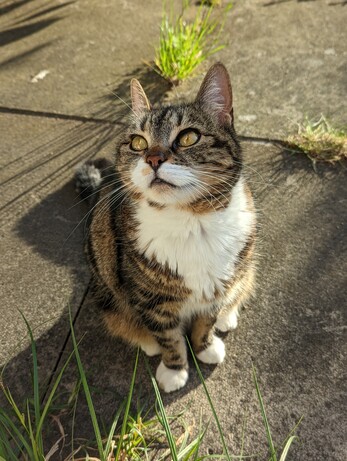 it's the same photo but she's got her head turned to the side and you can see her lovely ear hair