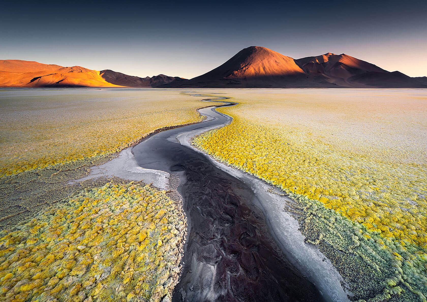 A winding river flows through a colorful landscape of yellow flora, with mountains silhouetted against a clear sky at sunset.