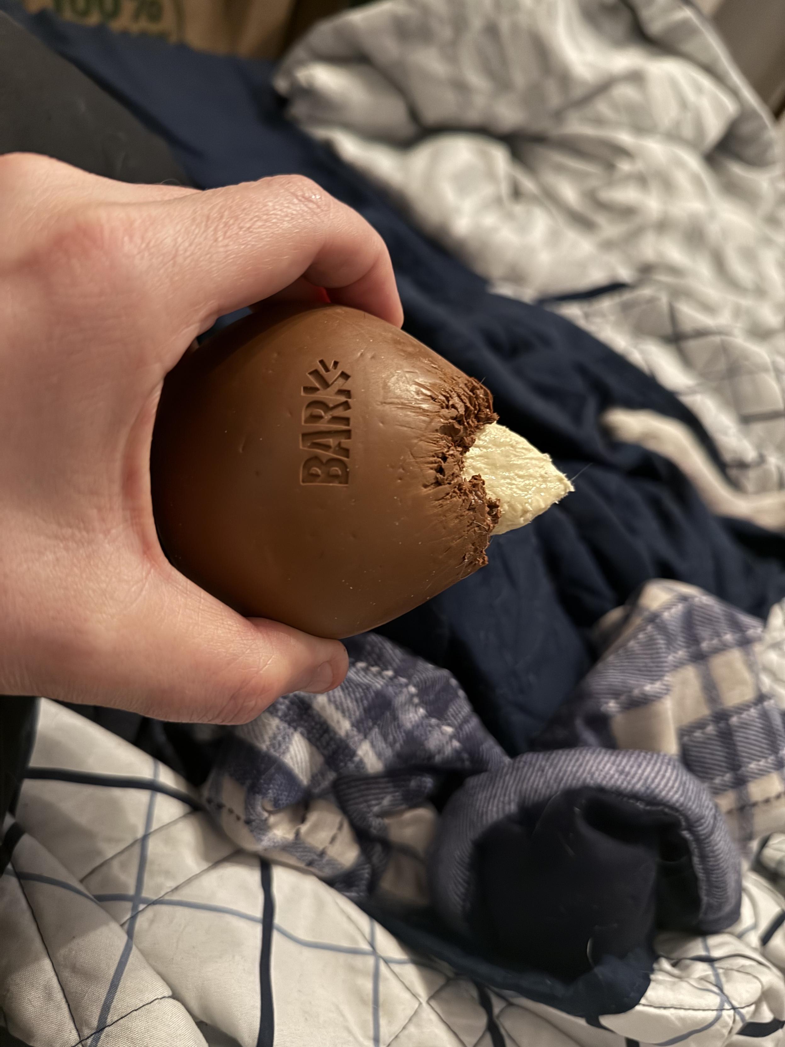 The shank, which started as a “turkey bone” chew toy