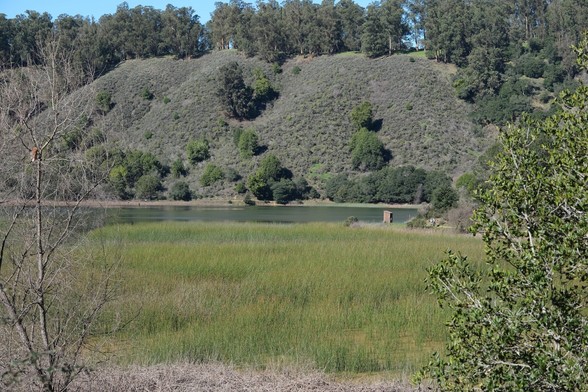 Lake Chabot w / Red-shouldered hawk in the image