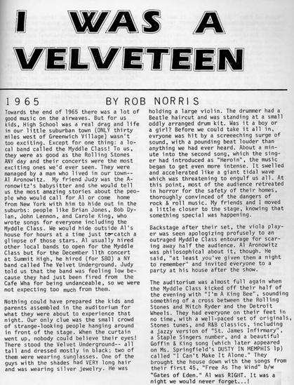 I Was A Velveteen by Rob Norris