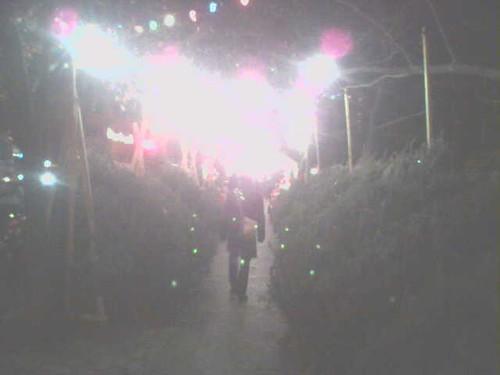 blown out cell phone photo of person walking in overlit urban canyon of christmas trees