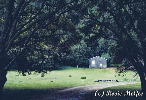 Rosie McGee photo of Mickey Hart's barn