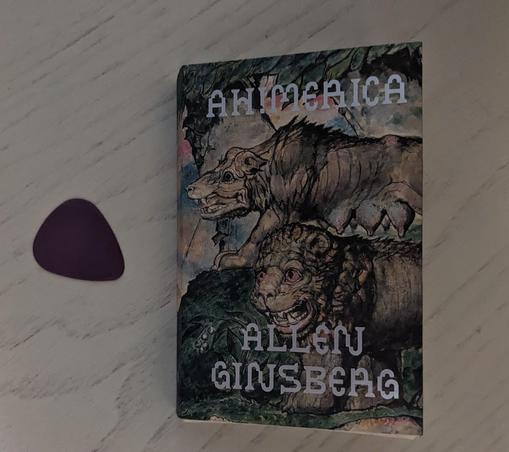 tiny book with guitar pick 