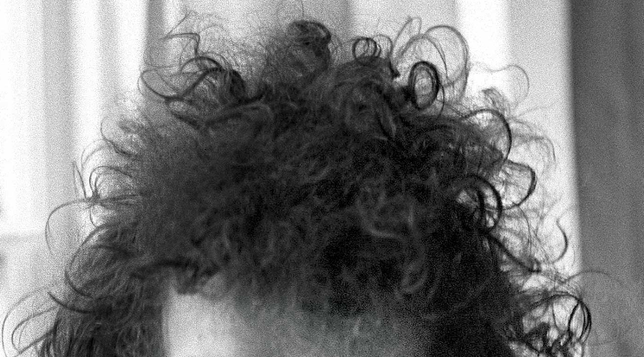 Bob Dylan's hair, 1966