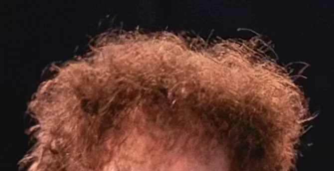 Bob Dylan's hair, 2025