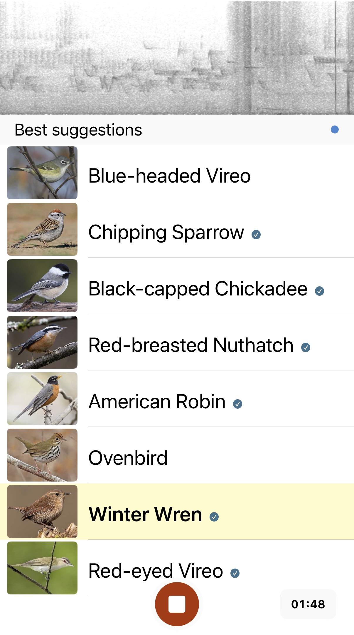 A screen grab from Merlin app showing that multiple bird breeds are active including Blue-headed Vireo, Chipping Sparrow, Black-capped Chickadee, Red-breasted Nuthatch, American Robin, Ovenbird, Winter Wren and Red-eyed Vireo