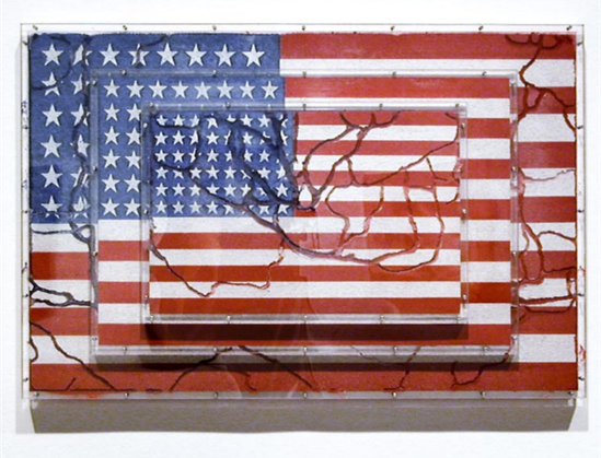 American flag with ant tunnels inside it