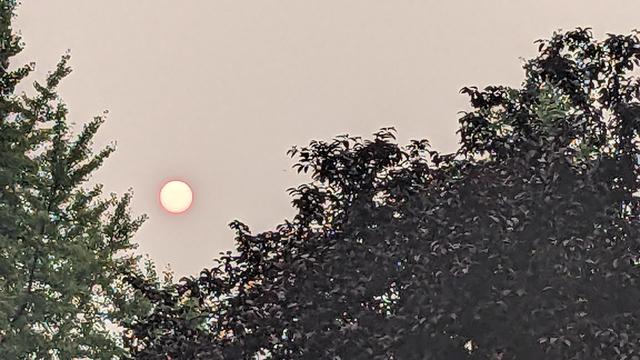 sun turned orange with wildfire smoke 