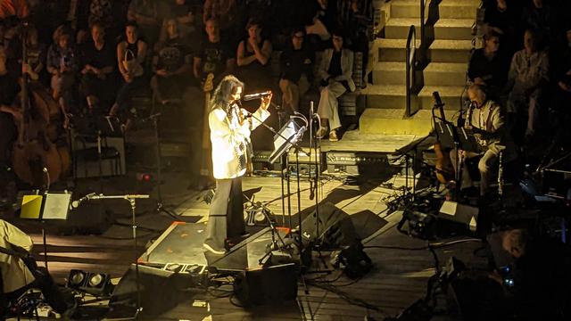 Anne Waldman in action