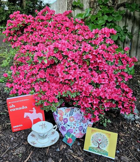 Tea tableau outdoors under a dwarf azalea bush ablaze with crimson blossoms, under which is a red David's Tea box that has a silhouette of a Canadian Mountie. Beside that are vintage china, a floral cozy, a carved red rose, and artwork of a tree that looks like a ball of light with a heart at the center.