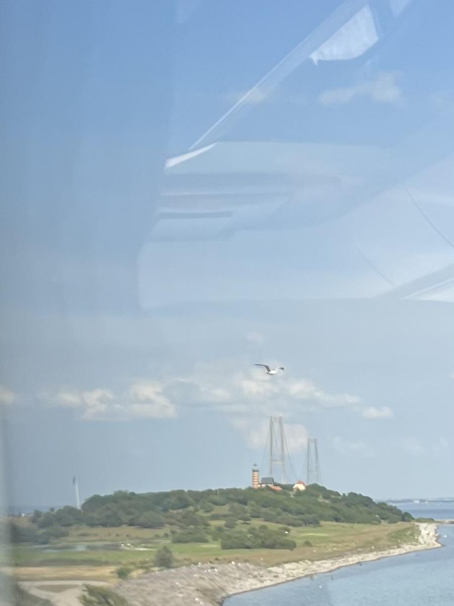 Foto ud af et busvindue hen mod en lille, meget grøn ø med et rødt og gul-stribet fyrtårn på og Storebæltsbroens pyloner og hængebro o baggrunden. Også blå himmel med små skyer og en måge midt i luften.
