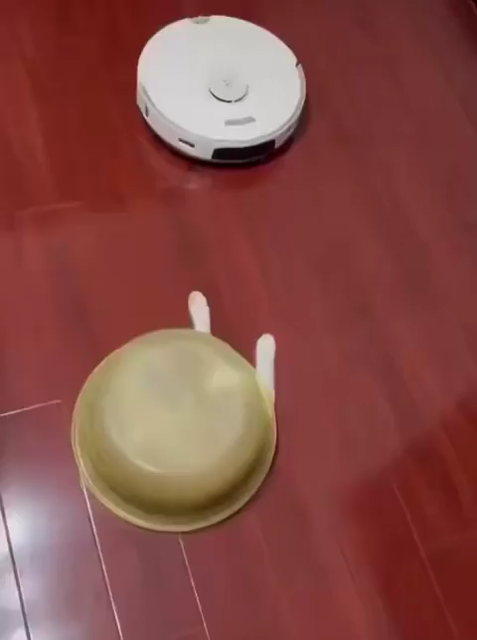 Cat under a green bowl reaching out from under it to attack an automated vacuum and then being dragged by the vacuum out from under the bowl.