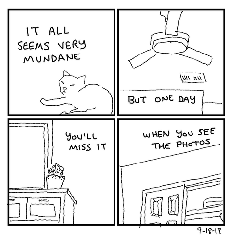 Four-panel hand-drawn comic. Panel 1: A cat lying down says "It all seems very mundane." Panel 2: A ceiling fan with pull cords hanging down that says "But one day". Panel 3: A dresser drawer with a plant and window that says "You'll miss it." Panel 4: A view of a door and shelves that says "When you see the photos"