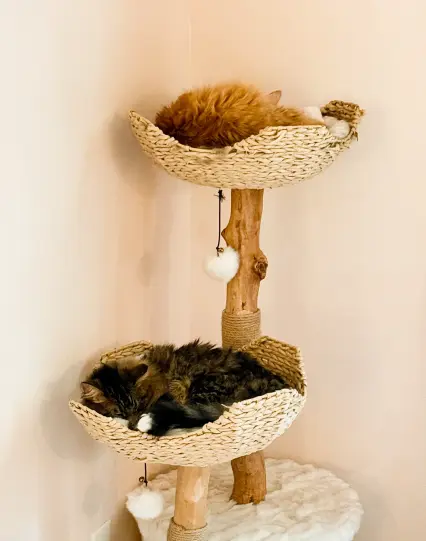 A two-level cat tree with natural wood posts and woven seagrass platforms. An orange tabby cat lounges in the upper hammock-style bed, while a dark tabby cat rests on the lower platform. White pom-pom toys dangle from the structure by strings, and rope wrapping reinforces the central post. The entire piece sits against a cream-colored wall.
