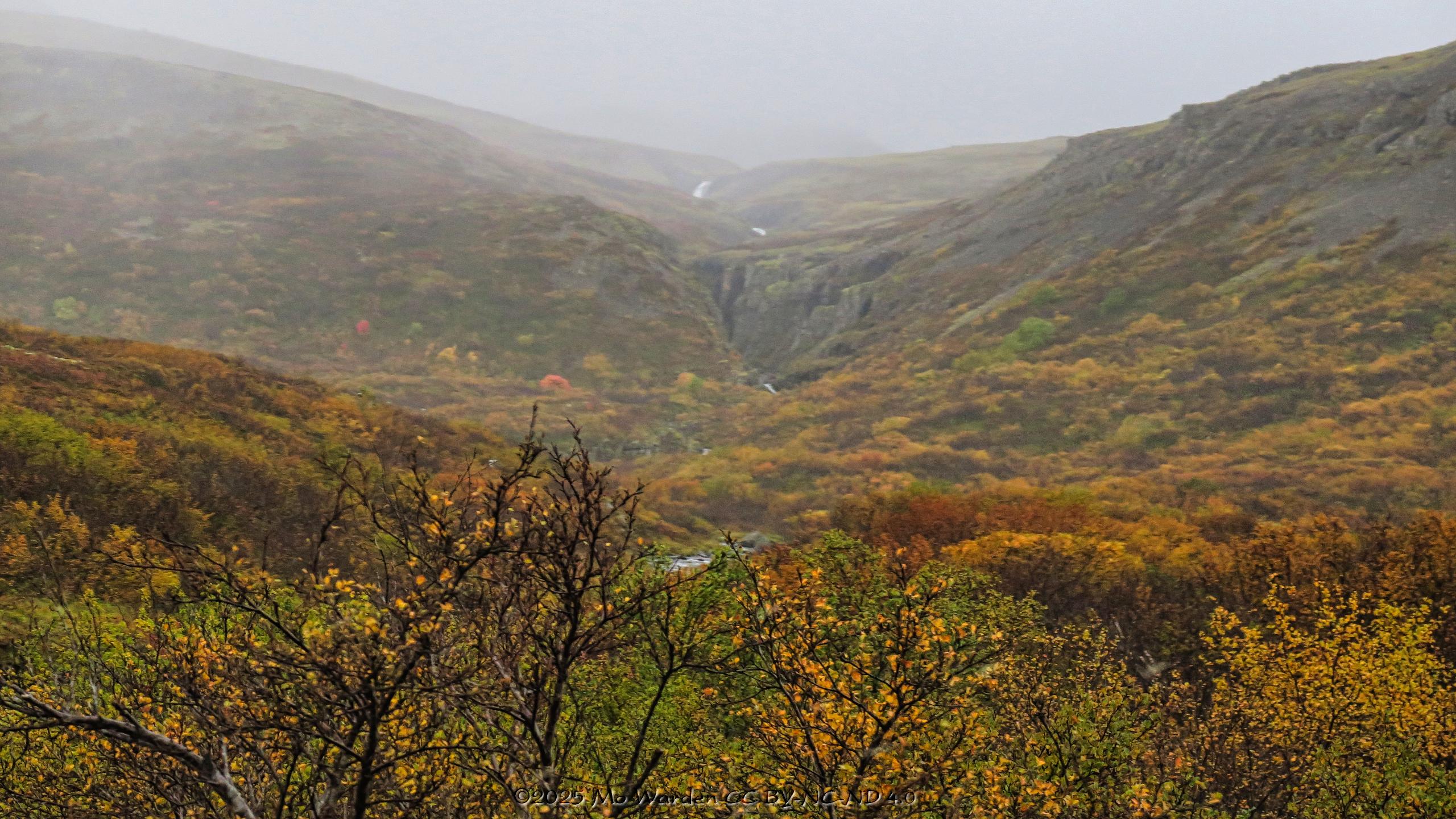 A colour photo of a landscape crowded with trees and shrubs. The natural woodland is covering the hillsides which are misty in the distance. A small waterfall is dropping through a valley, only just perceived due to the low cloud and fog. The sky is grey but the colours shine through.
