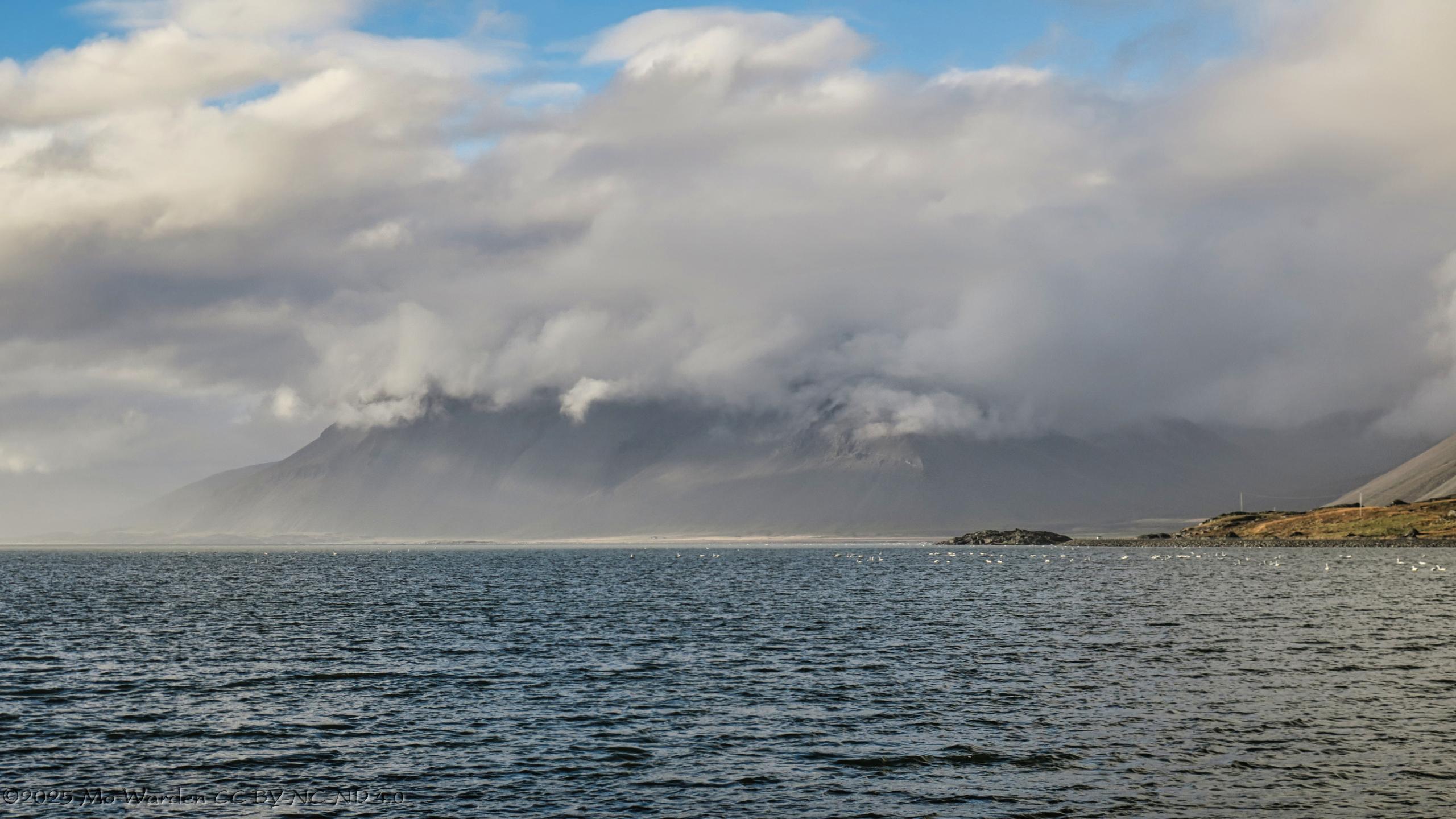 A colour photo of a body of water and a mountain in the distance with most of its summit hidden behind cloud. Above the dense cloudbank, the sky is clear cyan. The water is ruffled by the wind and there are white birds near the shore.