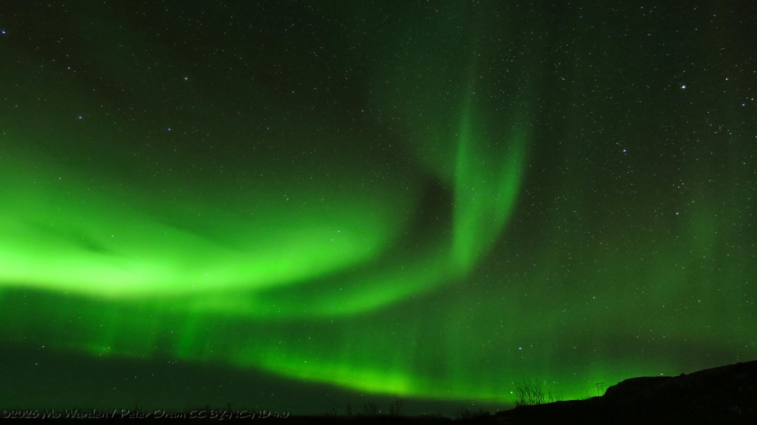 A colour photo of green aurora across a dark sky filled with stars. The loops of vivid green begin at the centre left of the photo and continue across in three main arcs, a strong bright one fading near the centre of the shot, another containing standing bars is dipping down to the horizon and one loop of light at the right of centre has two beams rising from it, reminiscent of the forked tongue of a snake. In the lower right quarter is more diffuse green aurora. The horizon is a silhouette of a hillside, some trees and a power pylon are highlighted by aurora behind them.