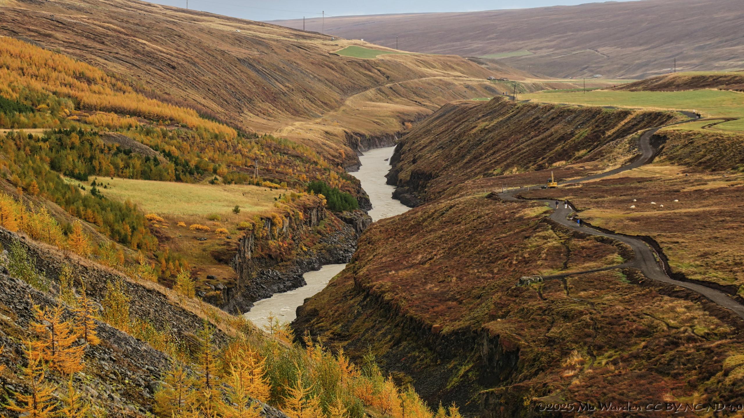 A colour photo of a landscape of rolling hills with a deep river gorge and footpaths snaking through it. The river banks end abruptly in a steep drop, closer inspection shows the regular structures of hexagonal columnar jointing. Some parts of the surrounding hills have been cleared for agriculture, probably for winter fodder, but many have been left in a natural state or have been replanted with trees to provide soil stability. In one field on the right, sheep can be seen grazing. The whole scene is in a palette of primarily russet, yellow, and orange tones with some green.