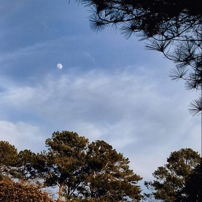 betonglen@indieweb.social