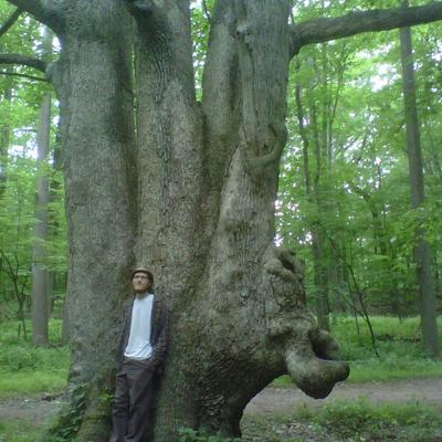 lovingisliving@indieweb.social