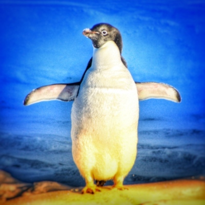 LibreEdge