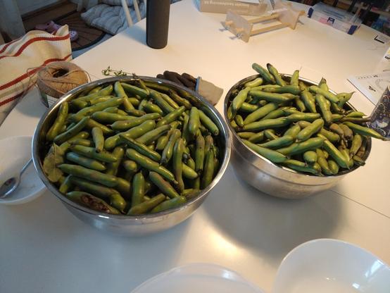 Two large metal bowls filled to the brim with fresh bean pods.