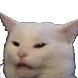 meme_catto