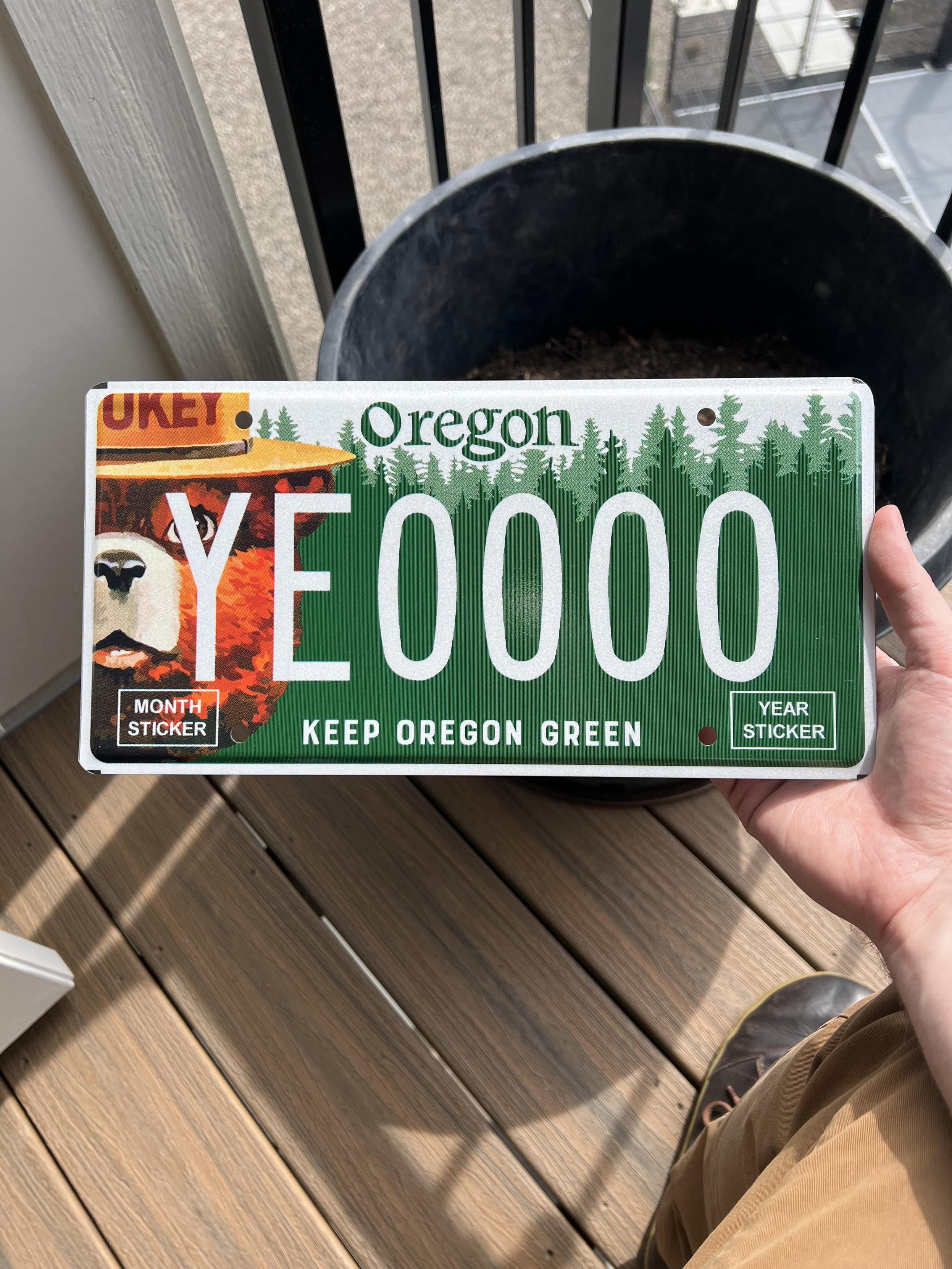 An Oregon licence plate with a Smokey the Bear background. The lettering says “YEOOOO”.